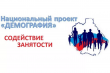 Профессиональное обучение и дополнительное профессиональное образование отдельных категорий граждан в 2024 году в рамках федерального проекта «Содействие занятости» национального проекта «Демография»